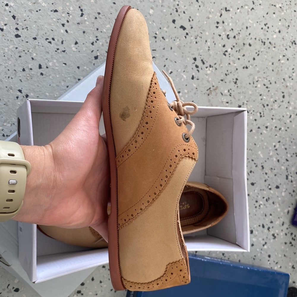Taylor Sperry - Picture 4 of 10